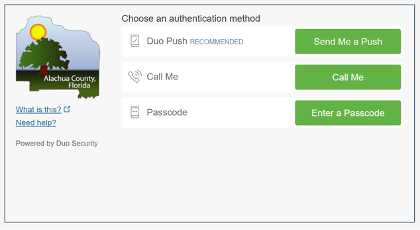 Screenshot of Cisco AnyConnect Authentication Method Selection Dialog Box