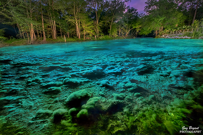 Suwannee River Headwaters Forest – Georgia - The Conservation Fund