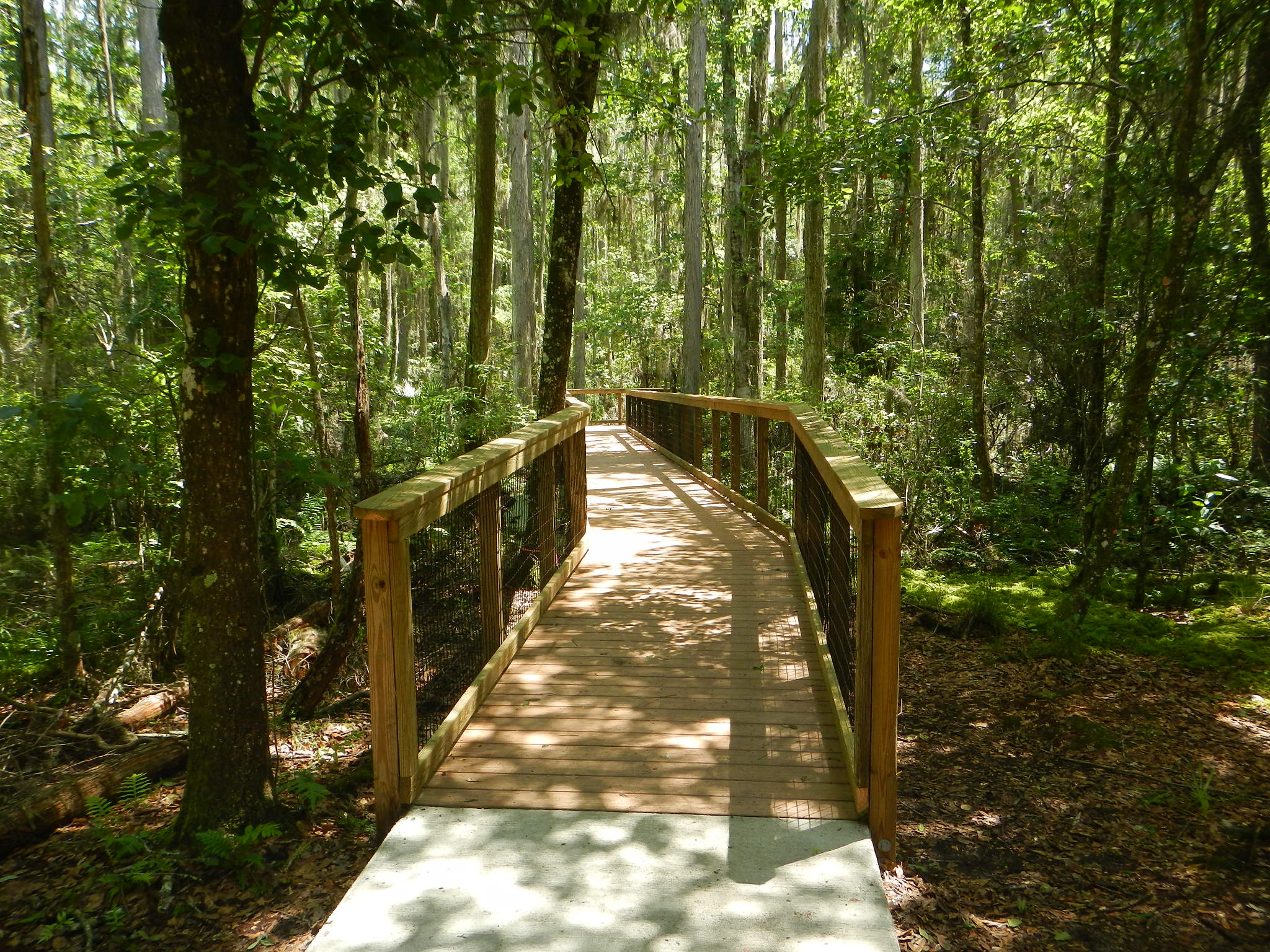 Phifer Flatwoods Preserve