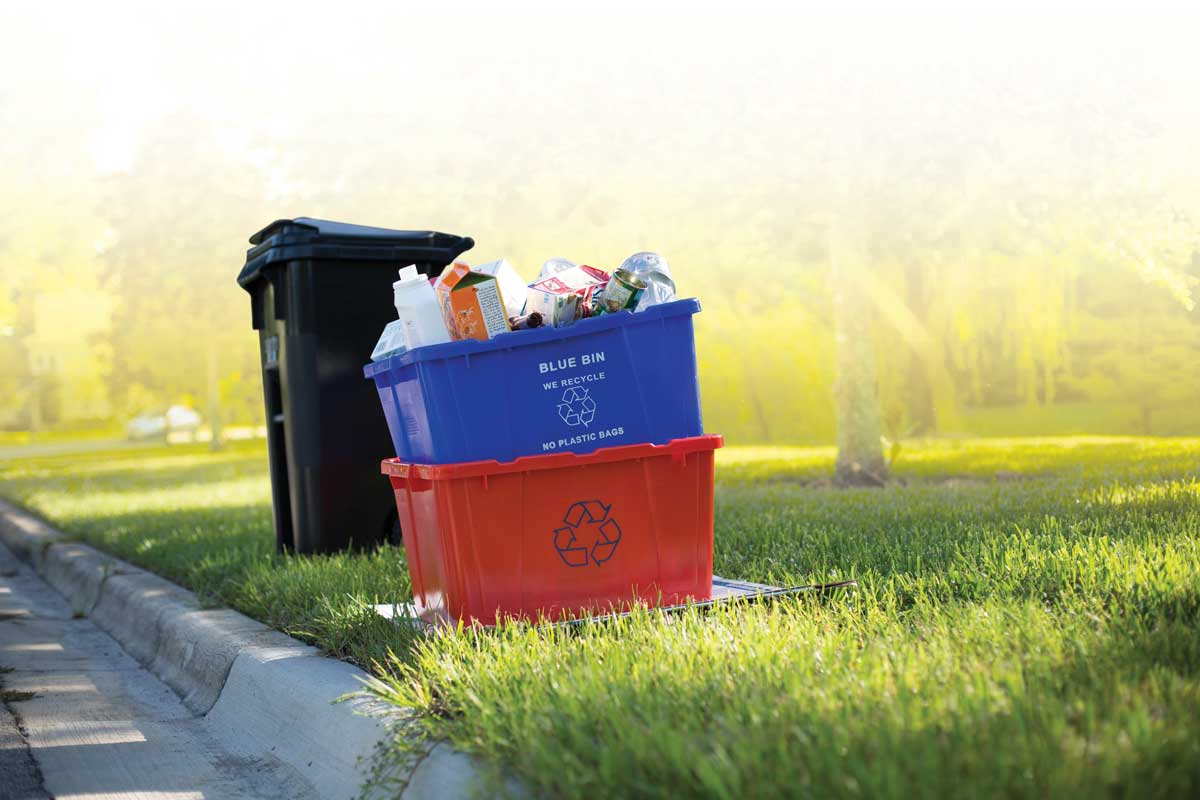 Garabage Cart and Recycling bins set on the curb ready for pickup