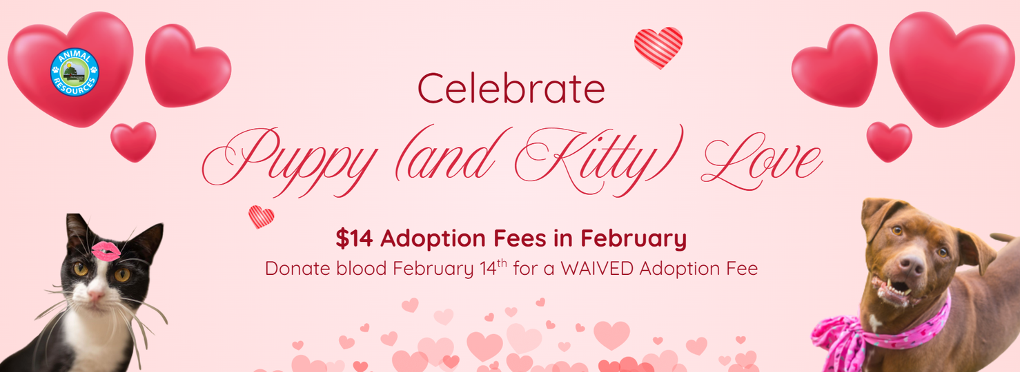 click here to access ada compliant pdf