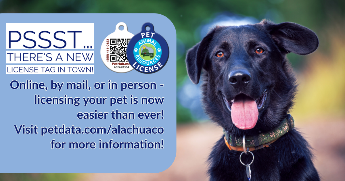 License your pet online, by mail, or in person. Visit petdata.com/alachuaco for more information.