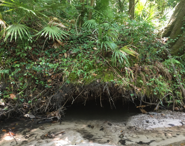 Creek