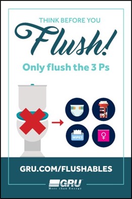 Think before you flush, only the 3 p's