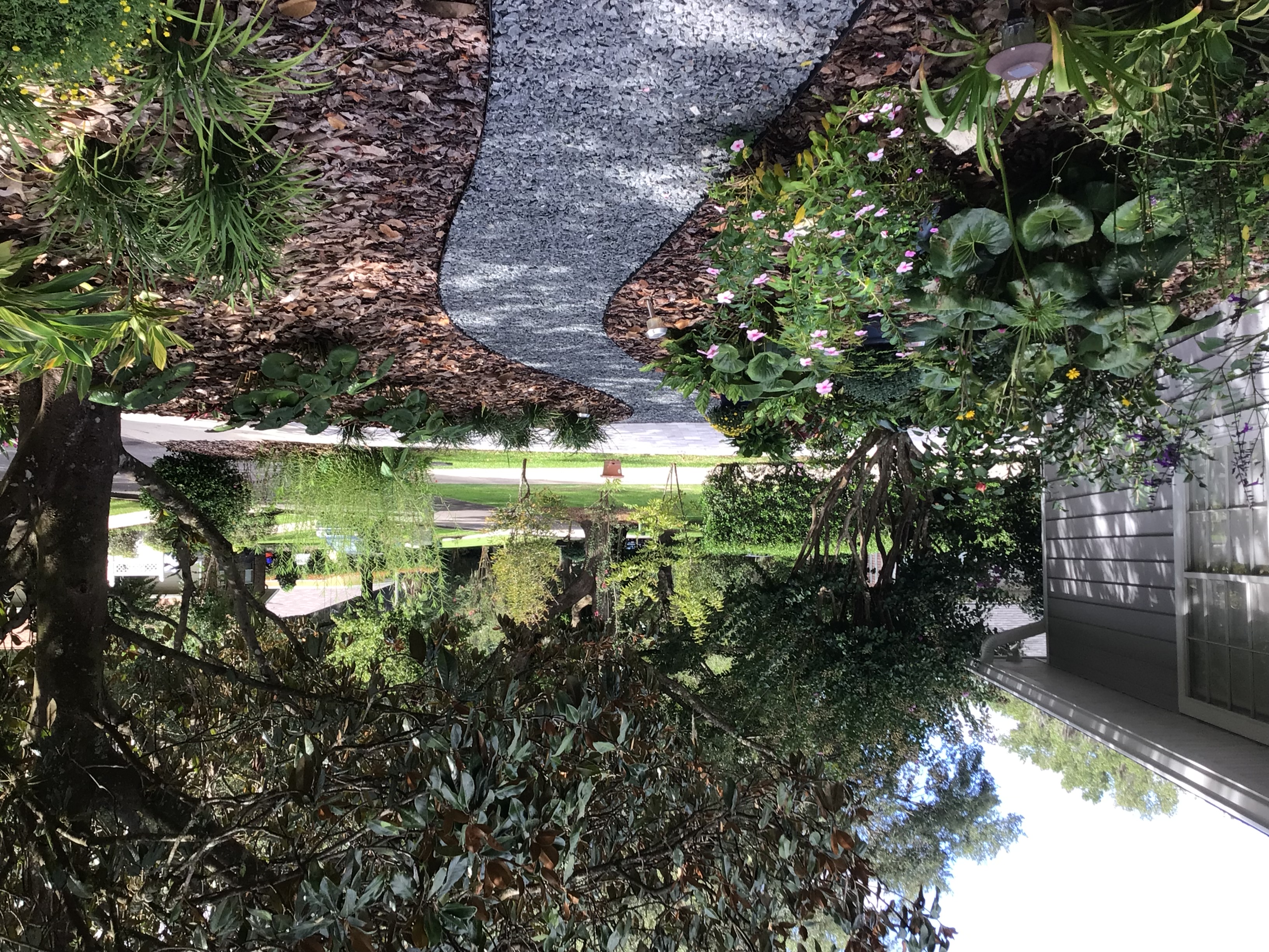 Florida Friendly Landscaping