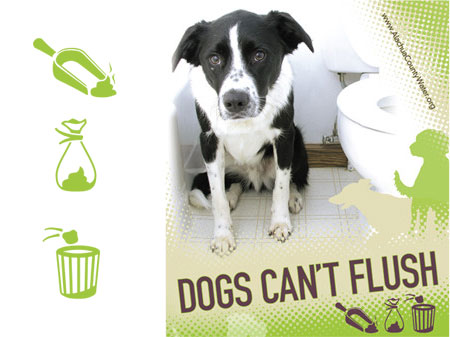 Dogs Can't Flush